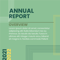 Annual Report Lines Linkedin Post Image Preview