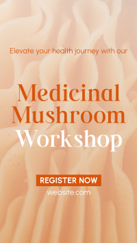 Minimal Medicinal Mushroom Workshop Instagram Story Design