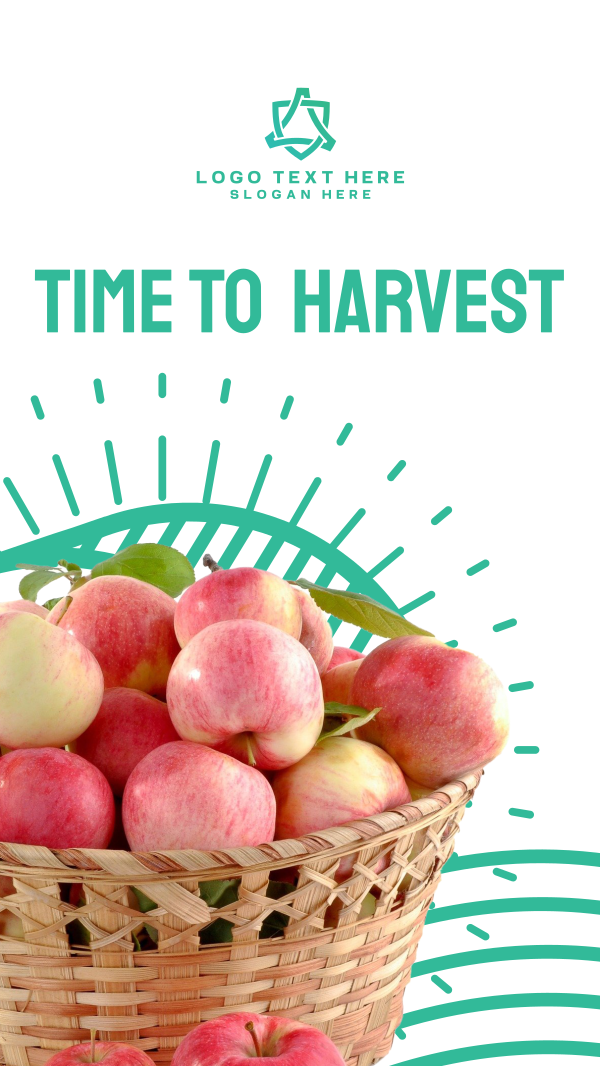Harvest Apples Facebook Story Design Image Preview