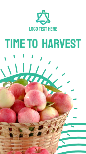 Harvest Apples Facebook story