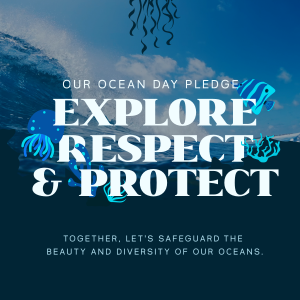 Ocean Day Pledge Instagram post Image Preview
