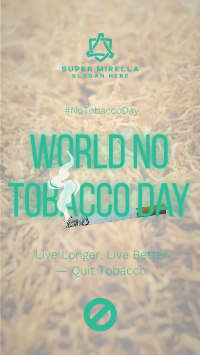 No Tobacco Day Facebook Story Image Preview