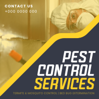 Straight Forward Pest Control Linkedin Post Image Preview