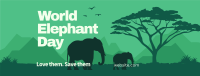 Safari Elephant Facebook cover Image Preview