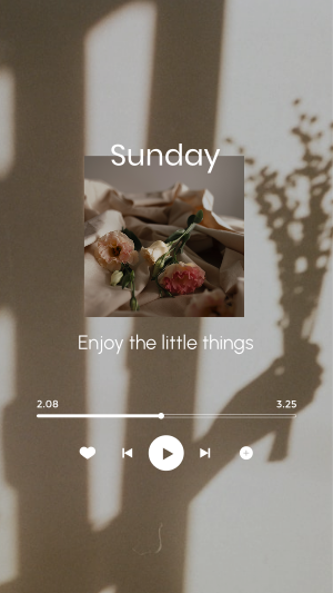 Sunday Music Player Facebook story Image Preview