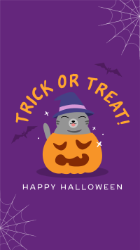 Halloween Cat Instagram Story Brandcrowd Instagram Story Maker