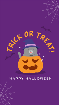 Halloween Cat Instagram Story Design