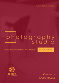 Sleek Photography Studio Flyer Image Preview