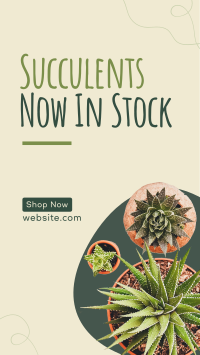 New Succulents Facebook Story Preview