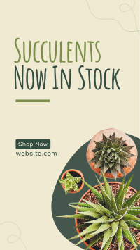 New Succulents Facebook story Image Preview