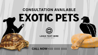Exotic Vet Consultation Animation Design