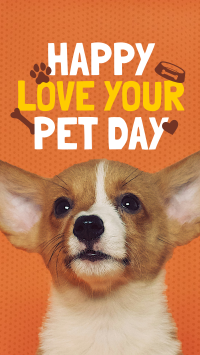 Wonderful Love Your Pet Day Greeting Instagram reel Image Preview