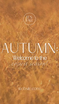 Warm Autumn Greetings TikTok Video Preview