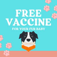 Quirky Dog Vet Vaccine Instagram post Image Preview