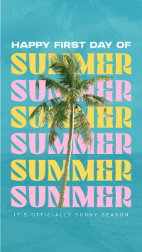 Summer Palm Tree TikTok Video Image Preview