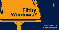 Filthy Window Cleaner Facebook ad Image Preview