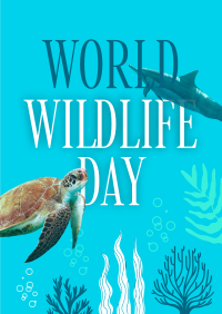 Aquatic Wildlife  Poster Image Preview