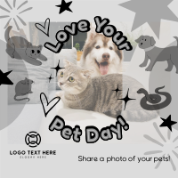 Share your Pet's Photo Instagram post Image Preview