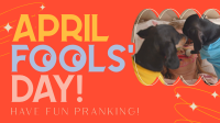 Quirky April Fools' Day Video Image Preview