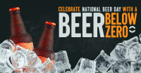 Beer Below Zero Facebook Ad Design