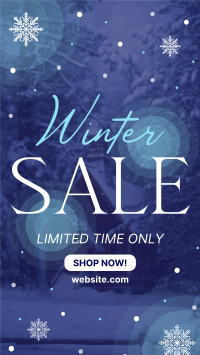 Winter Season Sale TikTok video Image Preview