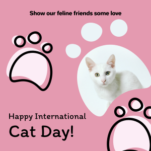 Pink International Cat Day Instagram post Image Preview