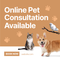 Online Vet Consultation Instagram post Image Preview