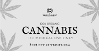 Cannabis Cures Facebook ad Image Preview