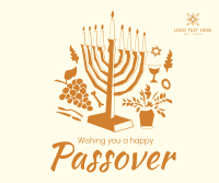 Picasso Passover Facebook post Image Preview