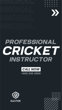 Let's Play Cricket Instagram Reel Image Preview