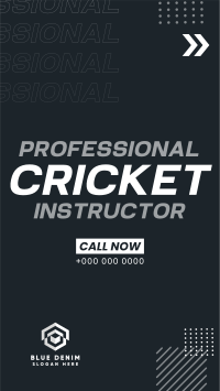 Let's Play Cricket Instagram Reel Image Preview