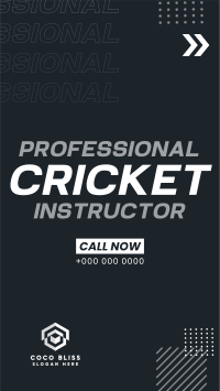 Let's Play Cricket Instagram Reel Image Preview