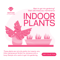 Indoor Greens Instagram Post Design