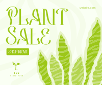 Bubbly Plant Sale Facebook post Image Preview