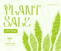 Bubbly Plant Sale Facebook post Image Preview