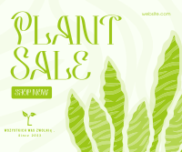 Bubbly Plant Sale Facebook post Image Preview