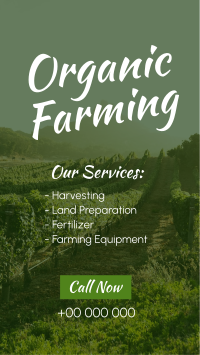 Farm for Organic Instagram Story Design