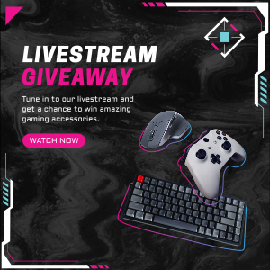 Livestream Giveaway Instagram post Image Preview
