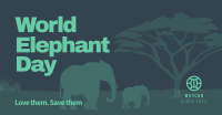 Safari Elephant Facebook Ad Design