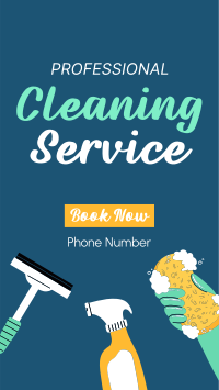 Professional Cleaner Video Image Preview