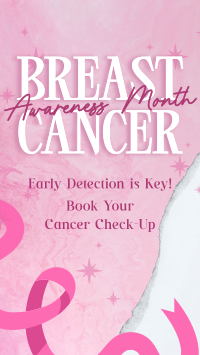 Breast Cancer Awareness Facebook Story Image Preview