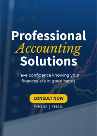 Professional Accounting Solutions Poster Image Preview