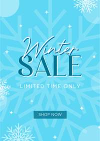 Winter Shopping  Sale Flyer Design