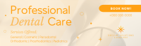 Professional Dental Care Services Twitter Header Image Preview