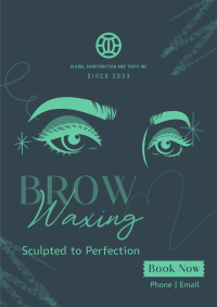 Eyebrow Waxing Service Poster Image Preview
