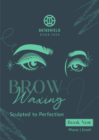 Eyebrow Waxing Service Poster Image Preview