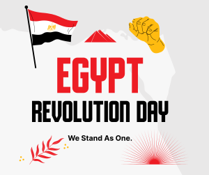 Egyptian Revolution Facebook post Image Preview