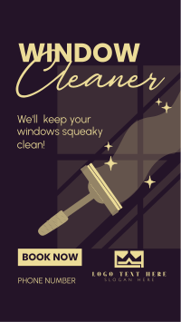 Squeaky Clean Windows Video Image Preview