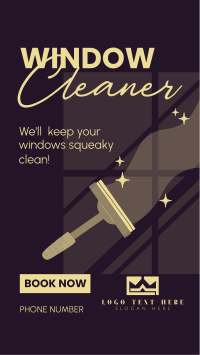 Squeaky Clean Windows TikTok video Image Preview