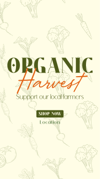 Organic Harvest Instagram story Image Preview